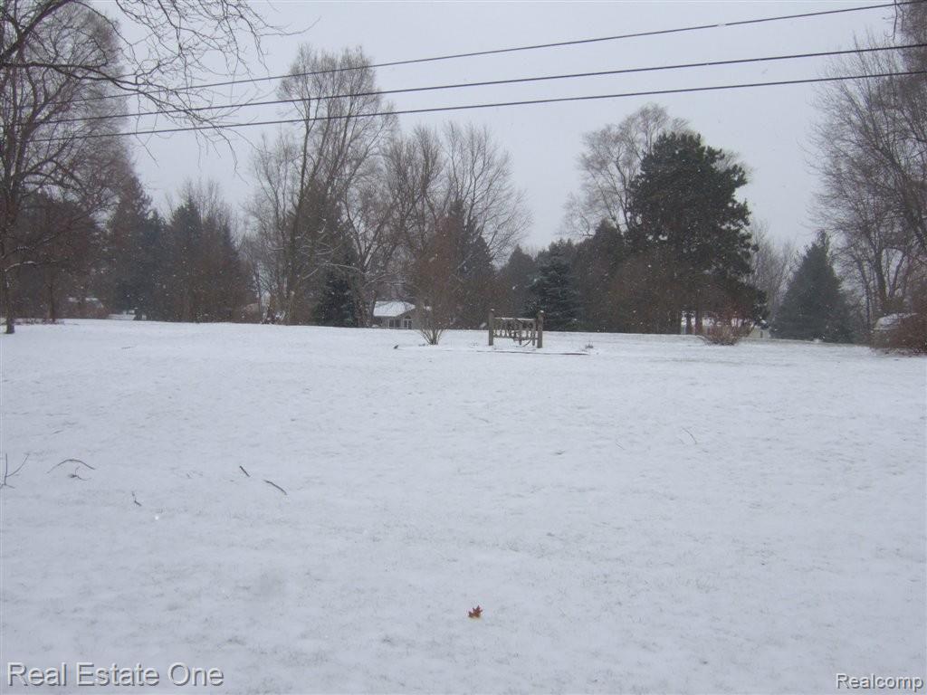 2377 Oklahoma Avenue Rochester, MI 48309 - Photo 5 of 15 back yard.JPG