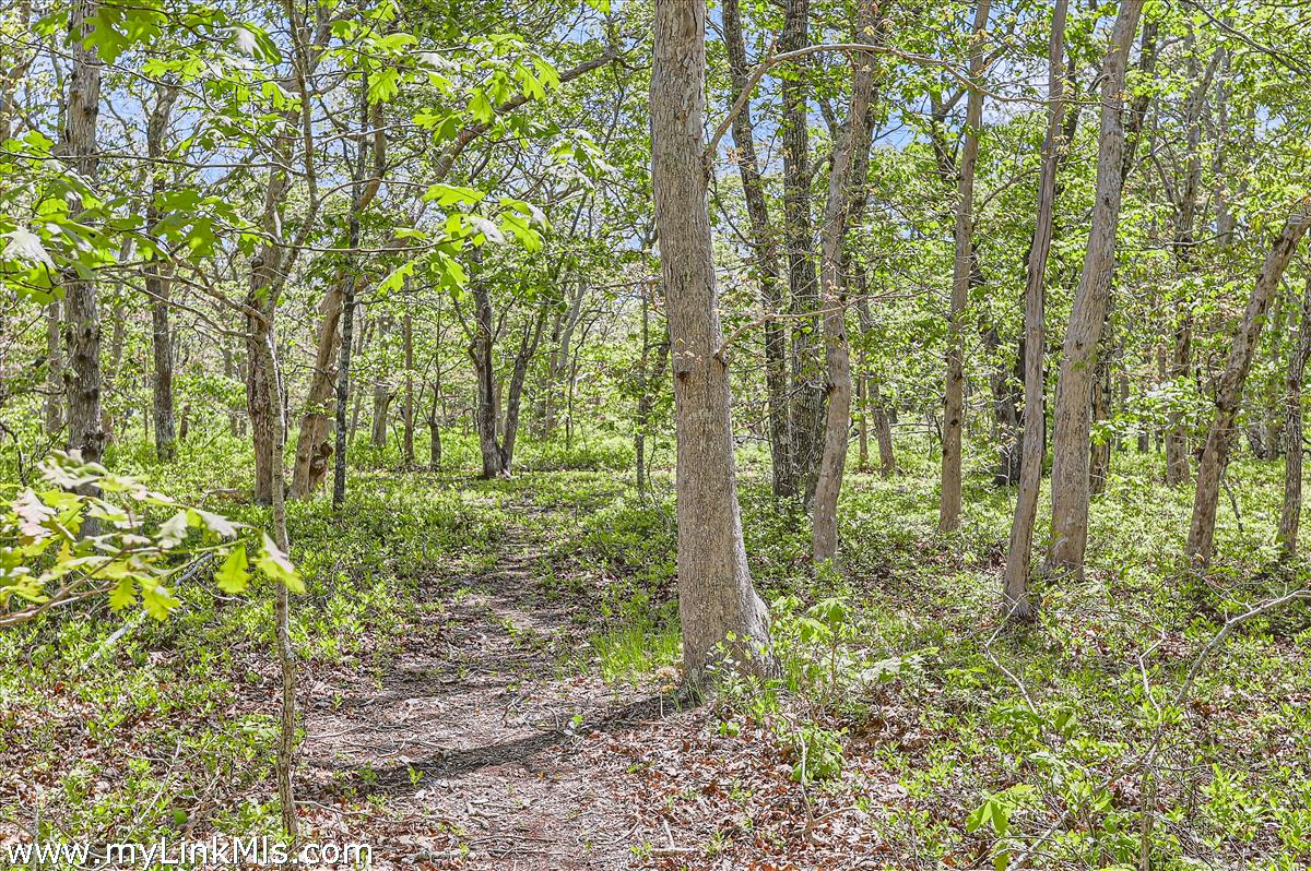 25 Plum Bush Point Road West Tisbury, MA 02568 - Photo 1 of 12 A brush cut path