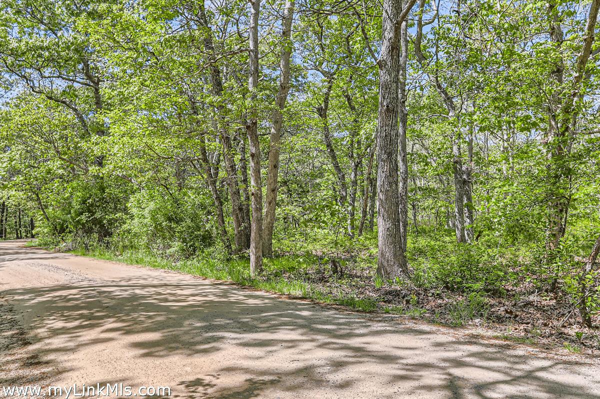 25 Plum Bush Point Road West Tisbury, MA 02568 - Photo 12 of 12 Plum Bush Point Road