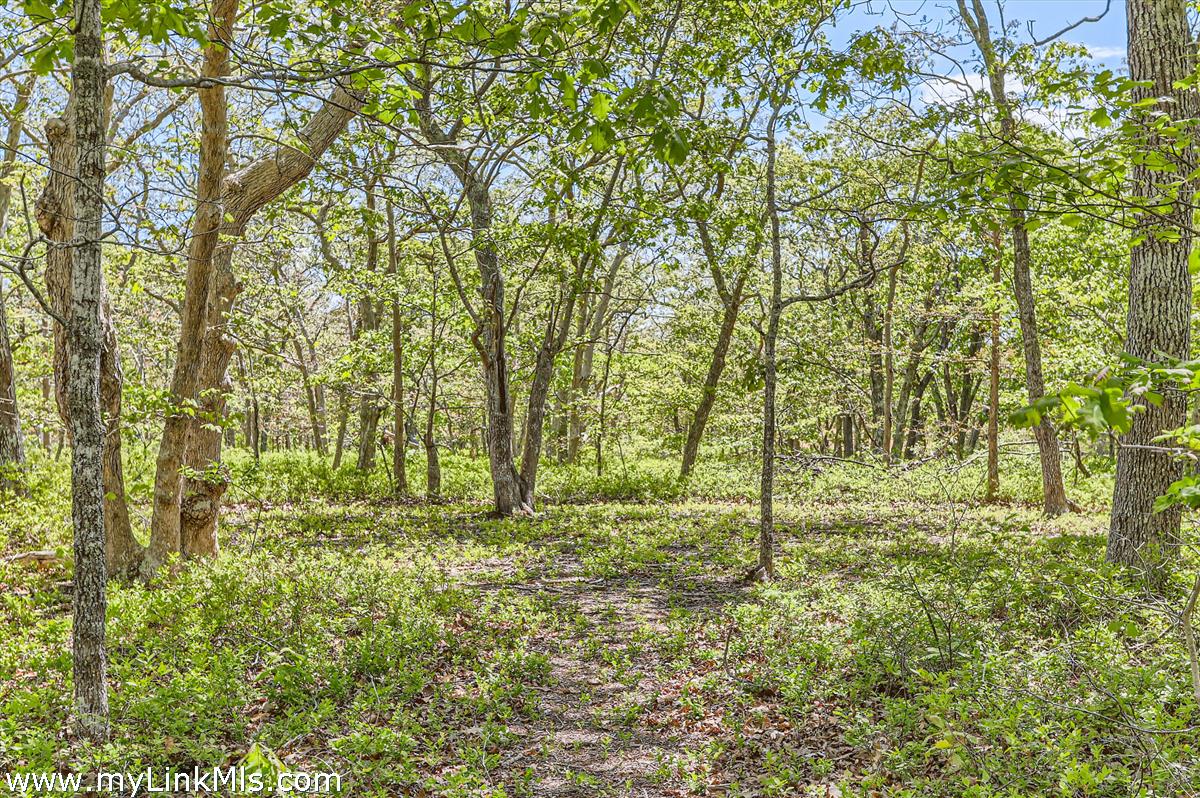 25 Plum Bush Point Road West Tisbury, MA 02568 - Photo 2 of 12 leads towards center of lot