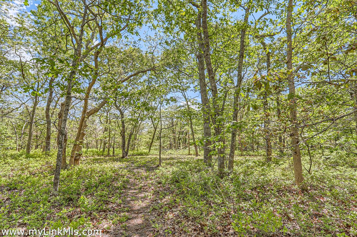 25 Plum Bush Point Road West Tisbury, MA 02568 - Photo 3 of 12 sunny and light