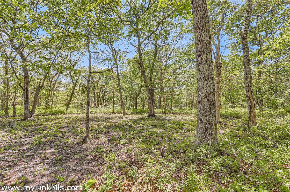 25 Plum Bush Point Road West Tisbury, MA 02568 - Photo 4 of 12 expansive 4+ acres
