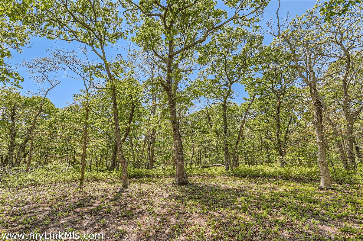 25 Plum Bush Point Road West Tisbury, MA 02568 - Photo 5 of 12 large building envelope is partially cleared