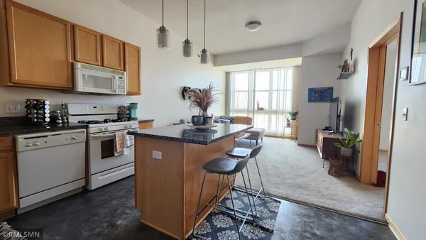 $1,650 | 2650 University Avenue West, Unit 323, St. Paul, MN 55114