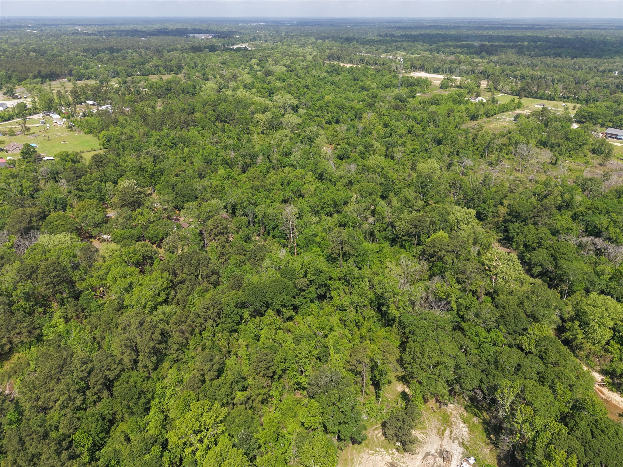 16689 Farm To Market 1485 Conroe, TX 77306 - Photo 5 of 8