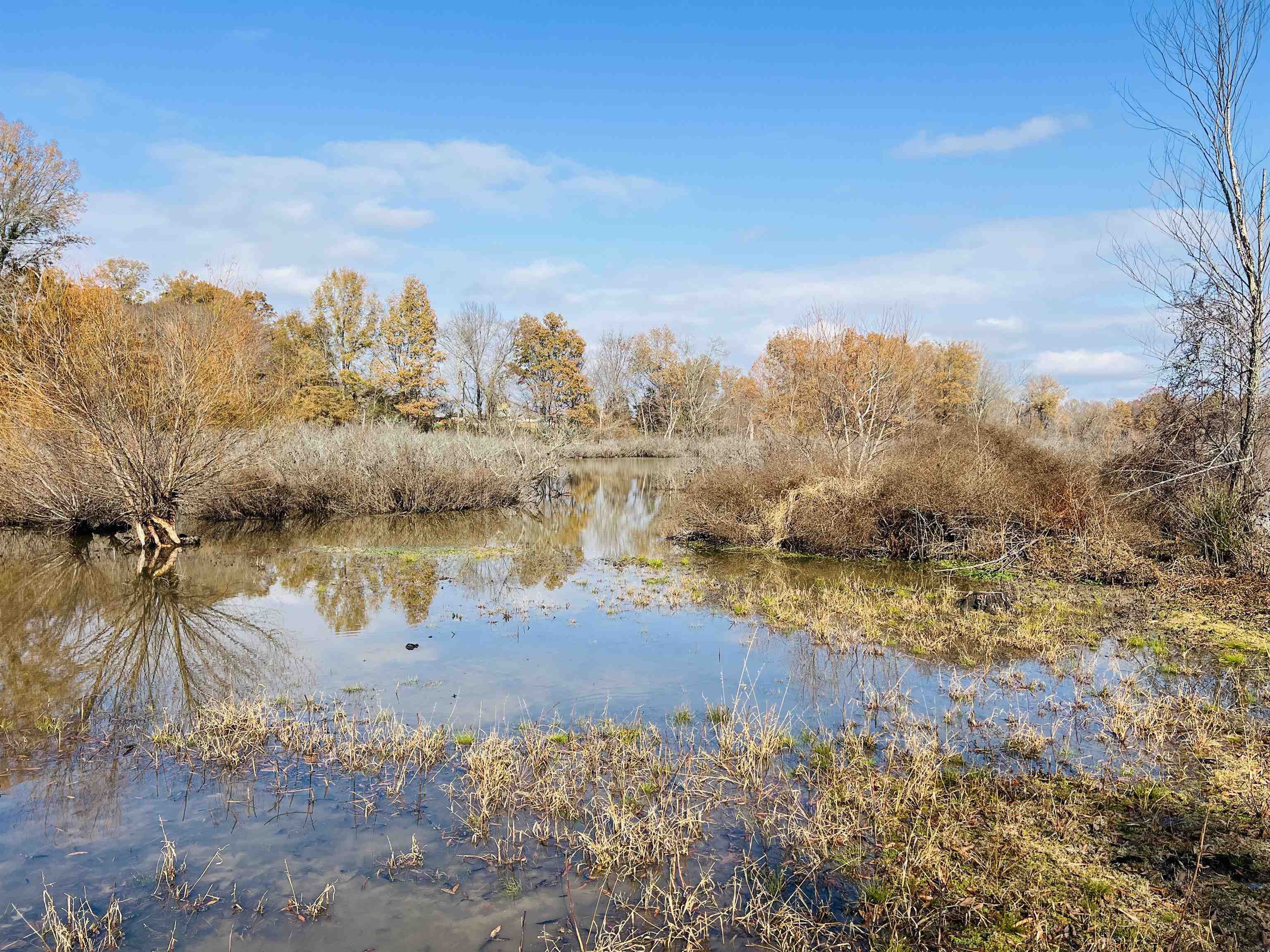 400 Teague Store Road Somerville, TN 38068 - Photo 15 of 40 a view of a lake with a city