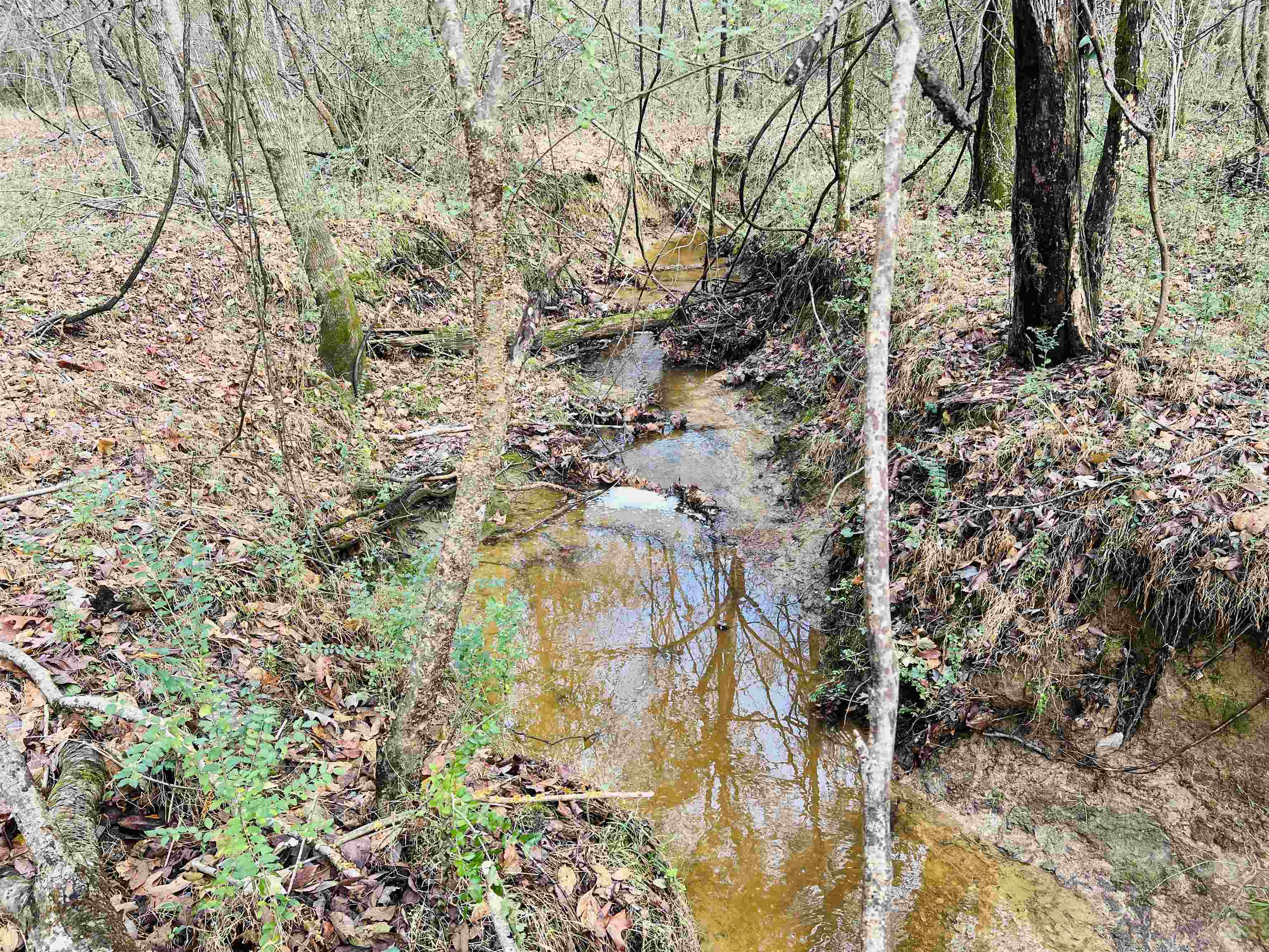 400 Teague Store Road Somerville, TN 38068 - Photo 18 of 40 a backyard of a building