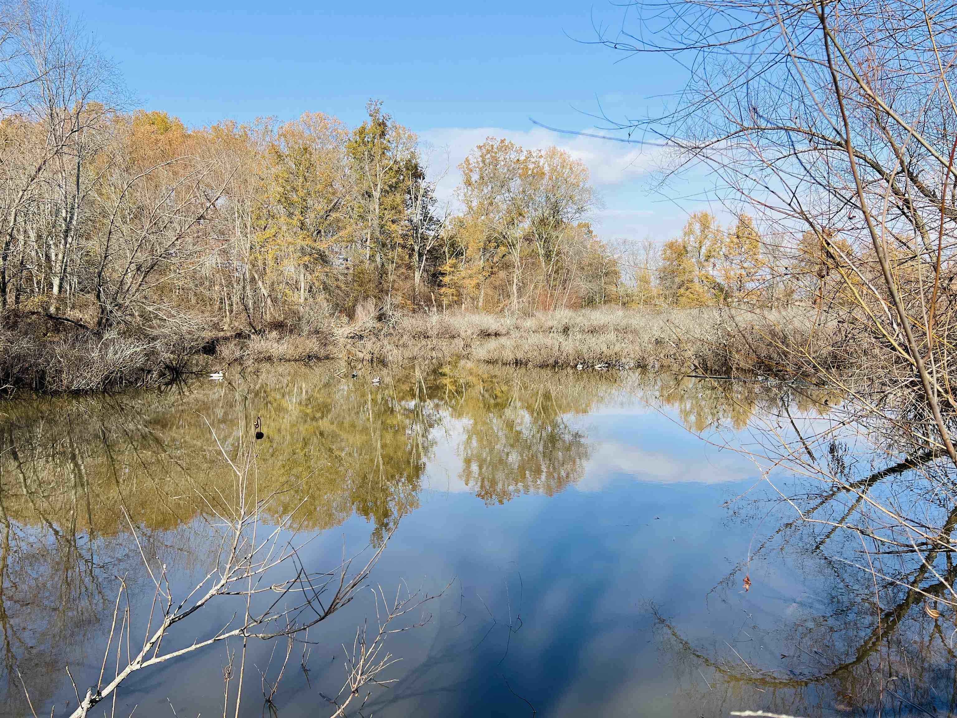 400 Teague Store Road Somerville, TN 38068 - Photo 19 of 40 a view of lake