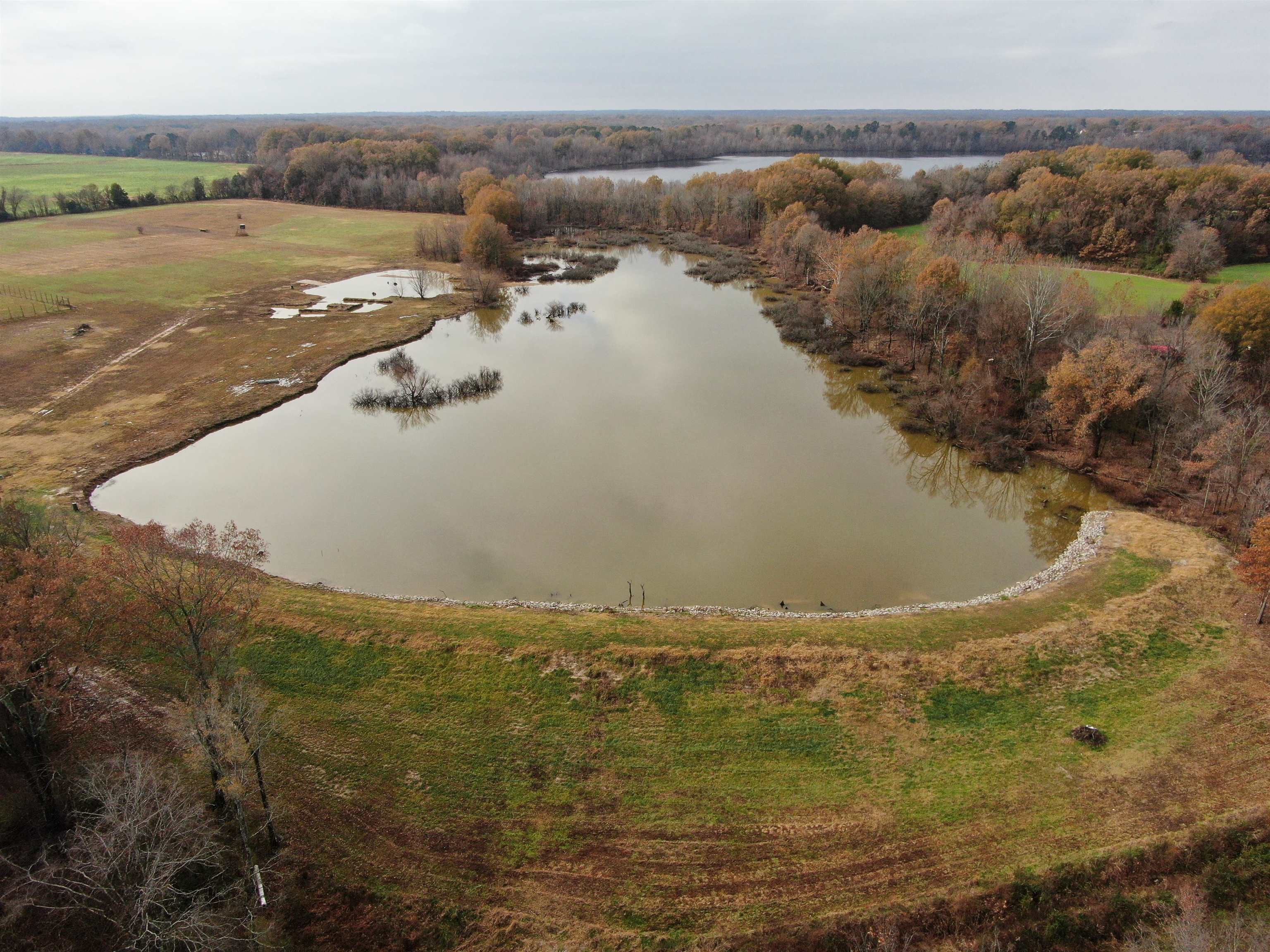 400 Teague Store Road Somerville, TN 38068 - Photo 2 of 40 a view of lake