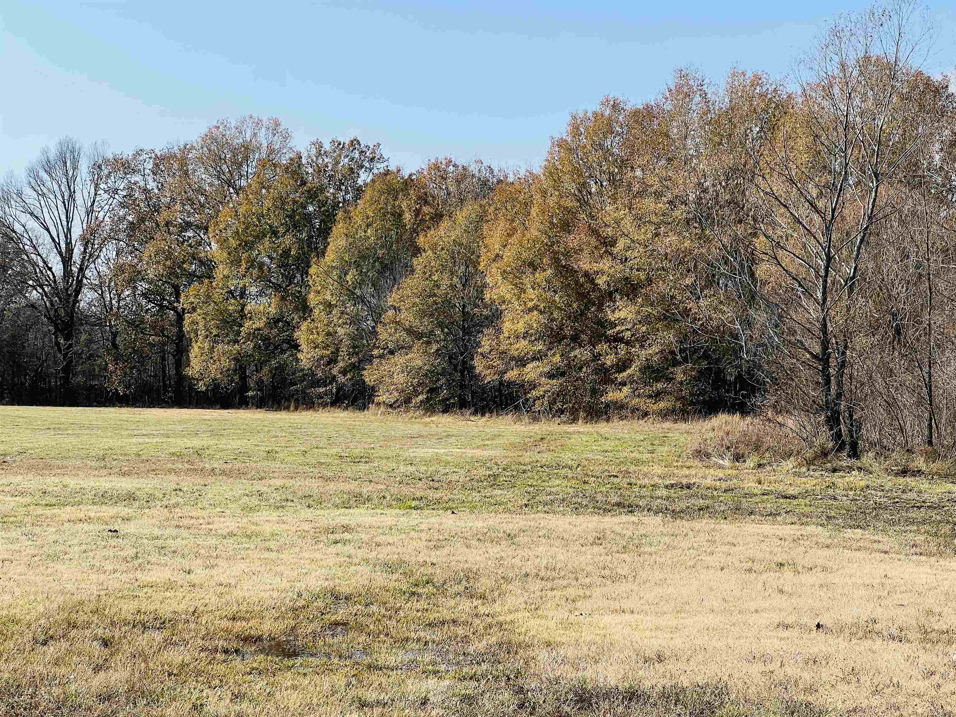 400 Teague Store Road Somerville, TN 38068 - Photo 27 of 40