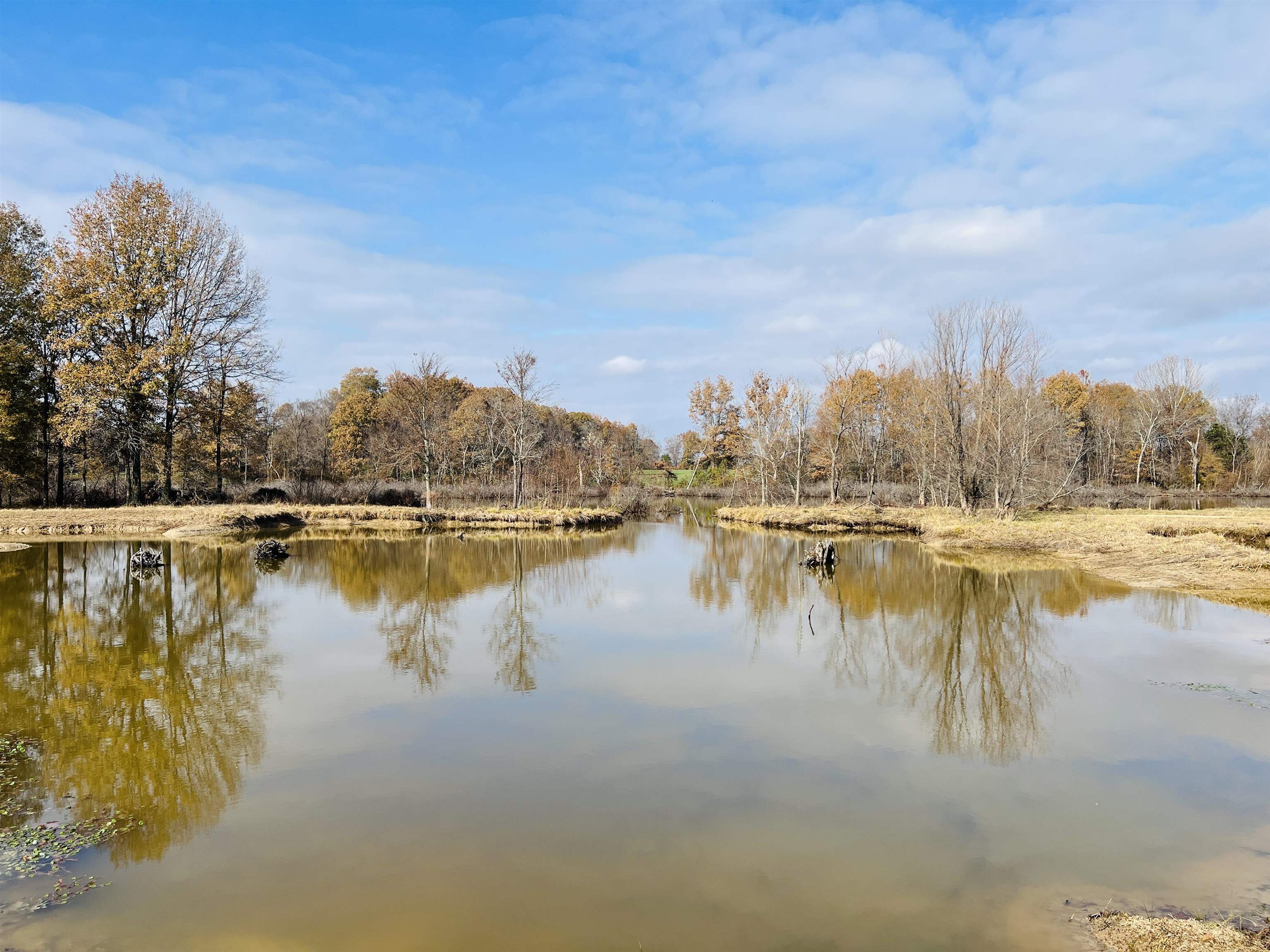 400 Teague Store Road Somerville, TN 38068 - Photo 28 of 40 a view of lake
