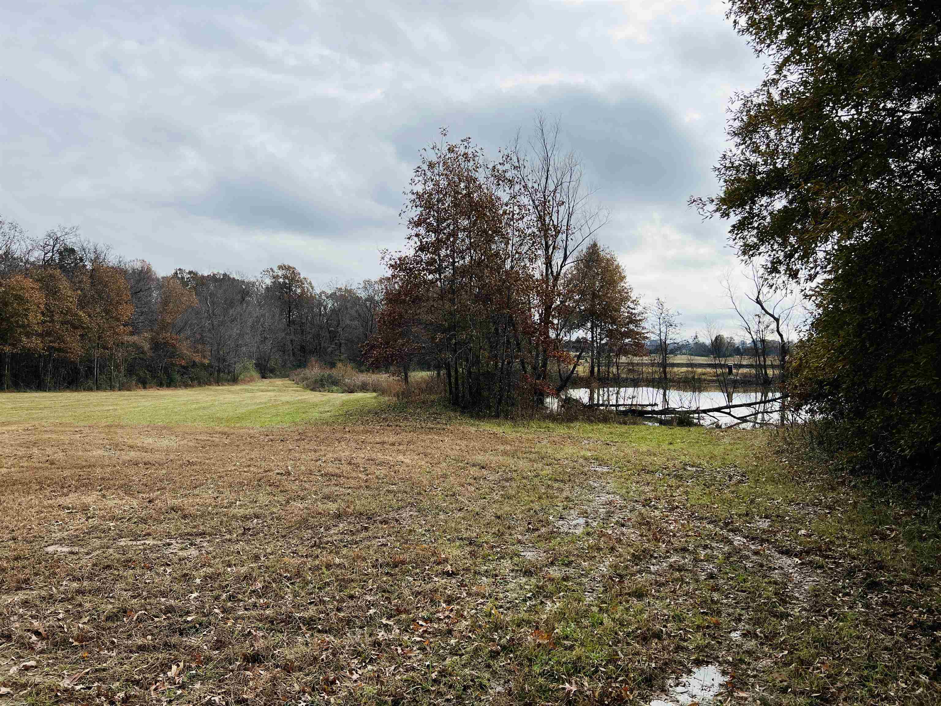 400 Teague Store Road Somerville, TN 38068 - Photo 30 of 40 a view of outdoor space and yard