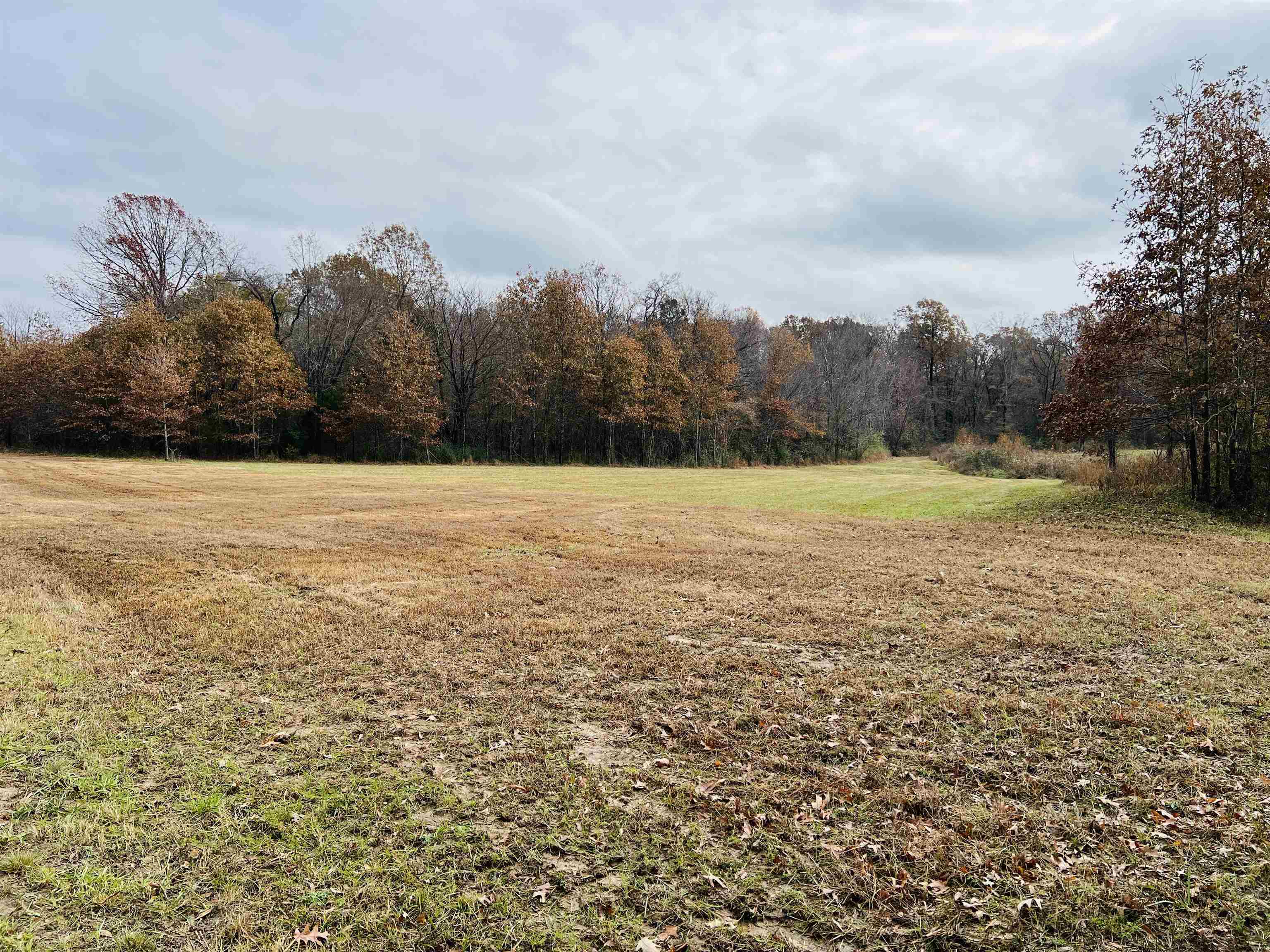 400 Teague Store Road Somerville, TN 38068 - Photo 31 of 40 a view of an outdoor space and a yard