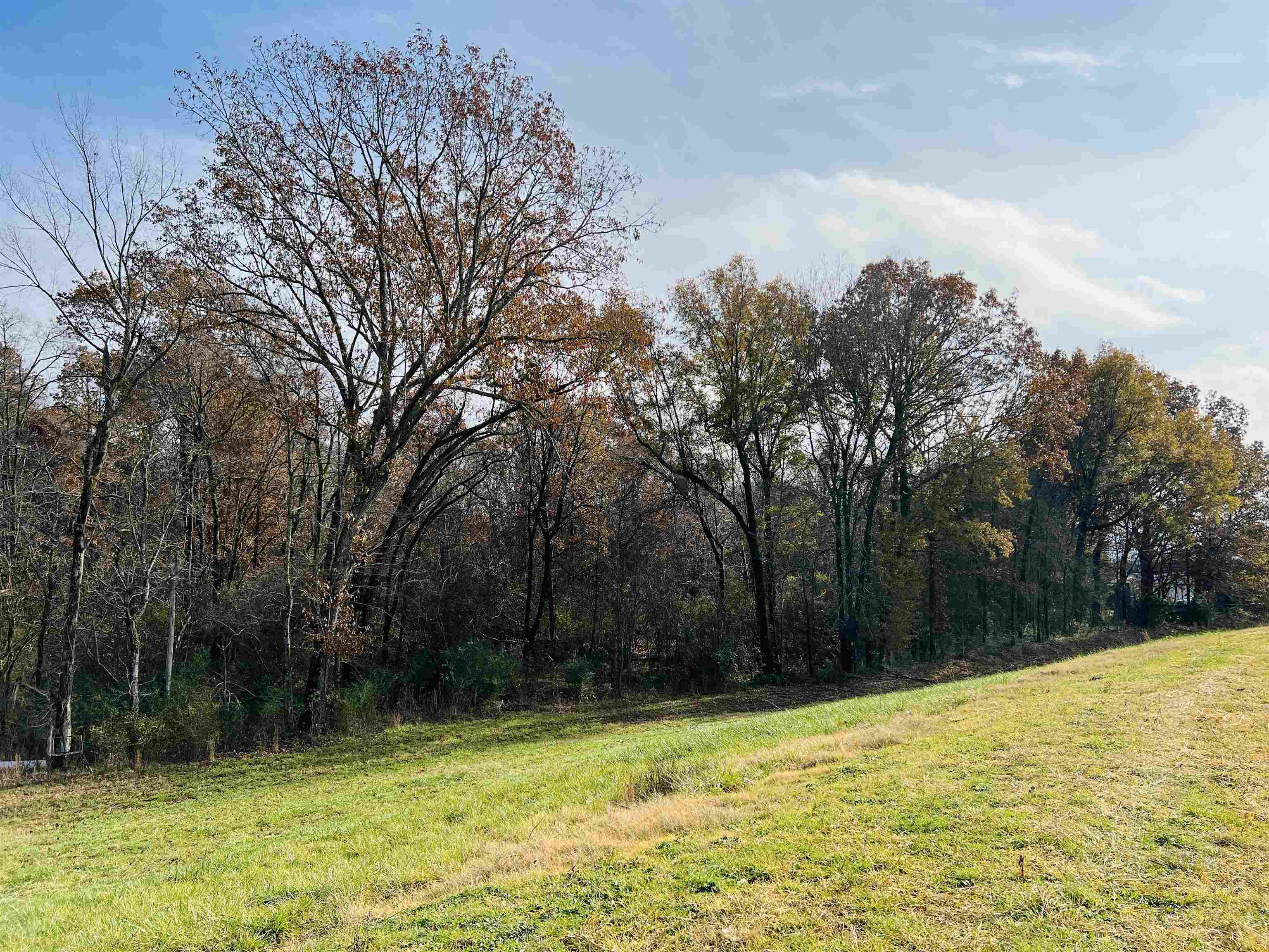 400 Teague Store Road Somerville, TN 38068 - Photo 33 of 40 a view of pool with trees in the background