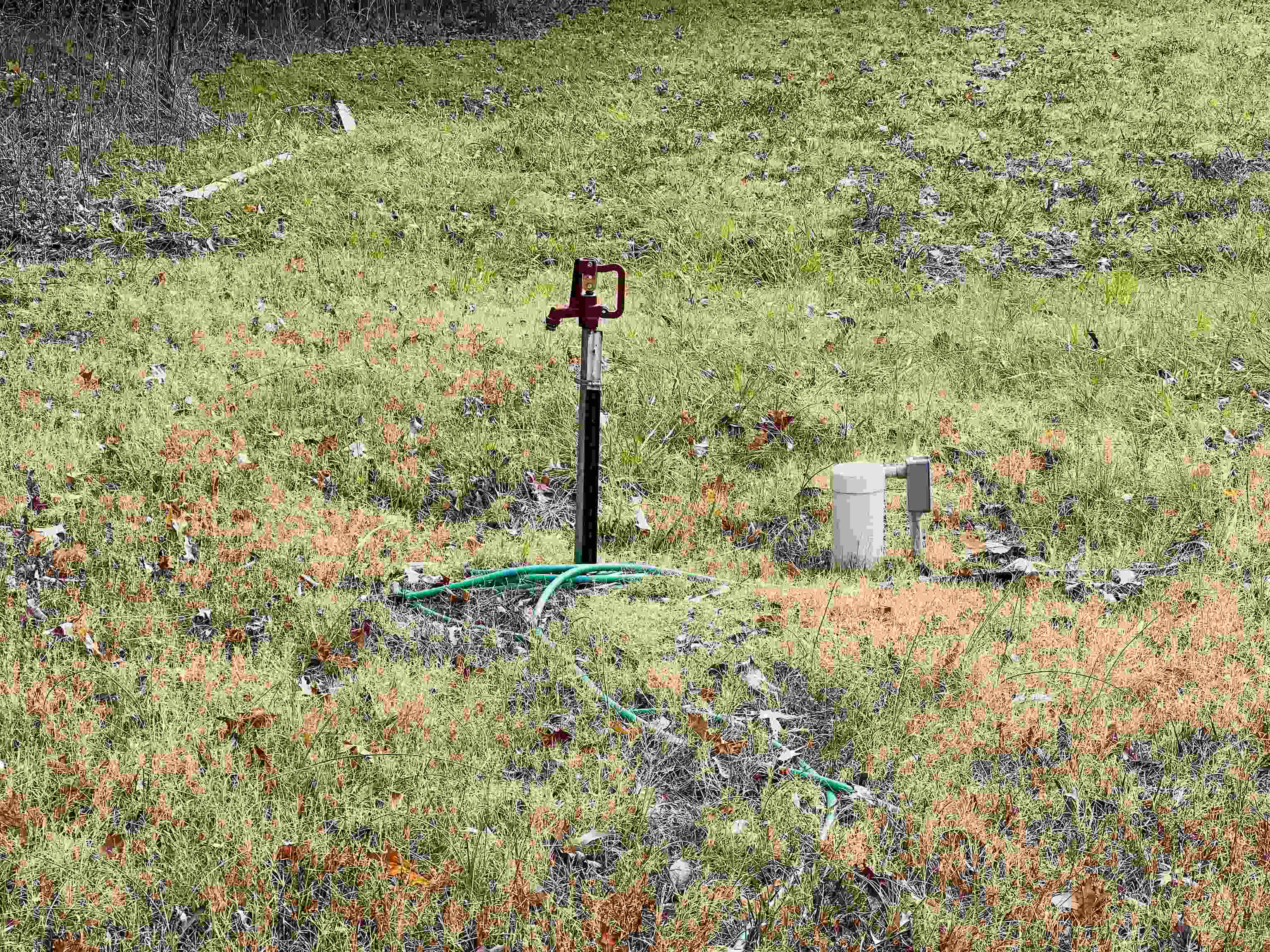 400 Teague Store Road Somerville, TN 38068 - Photo 36 of 40 a close up of a plant in a yard