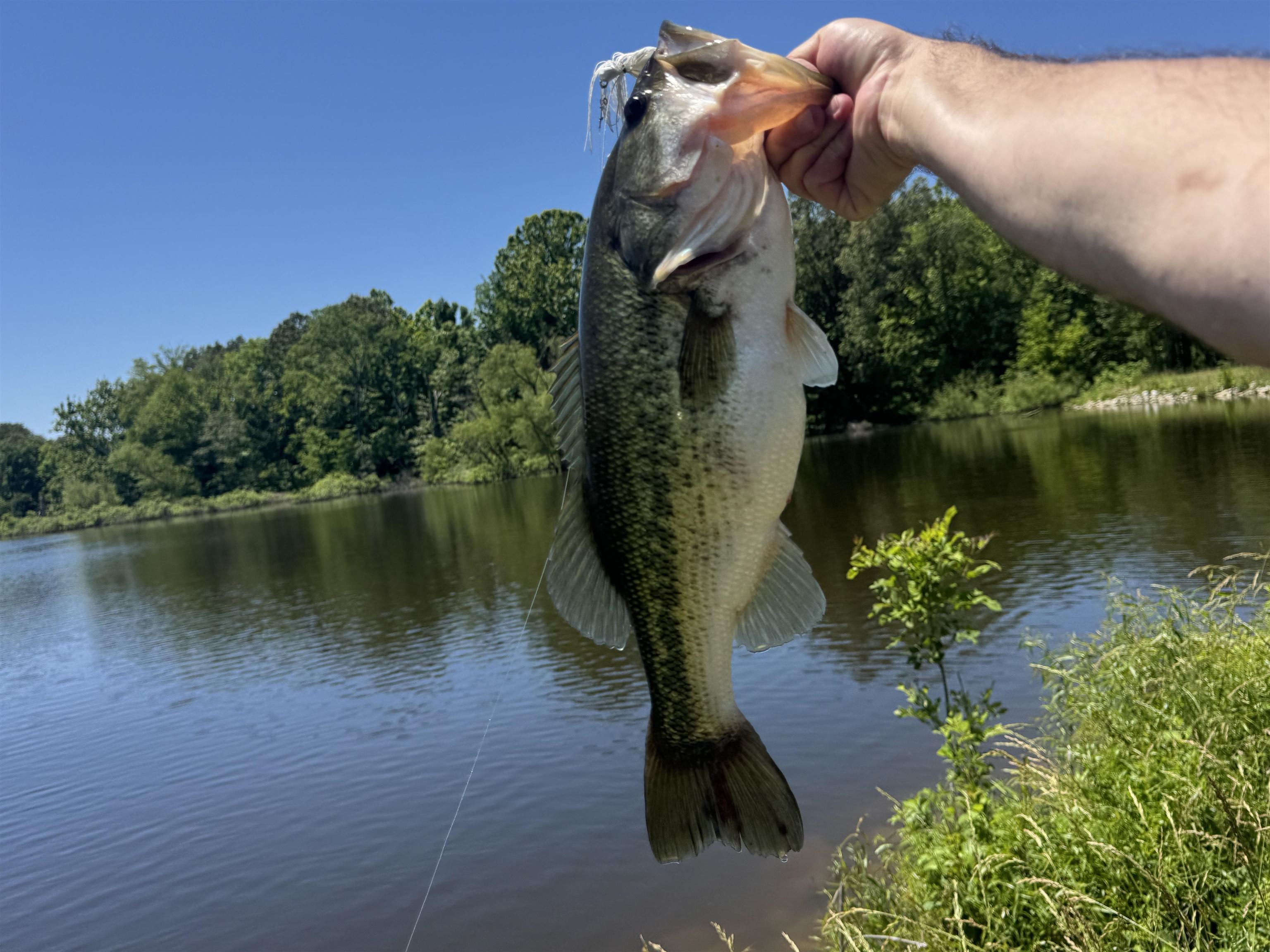 400 Teague Store Road Somerville, TN 38068 - Photo 39 of 40 a view of a lake with a yard