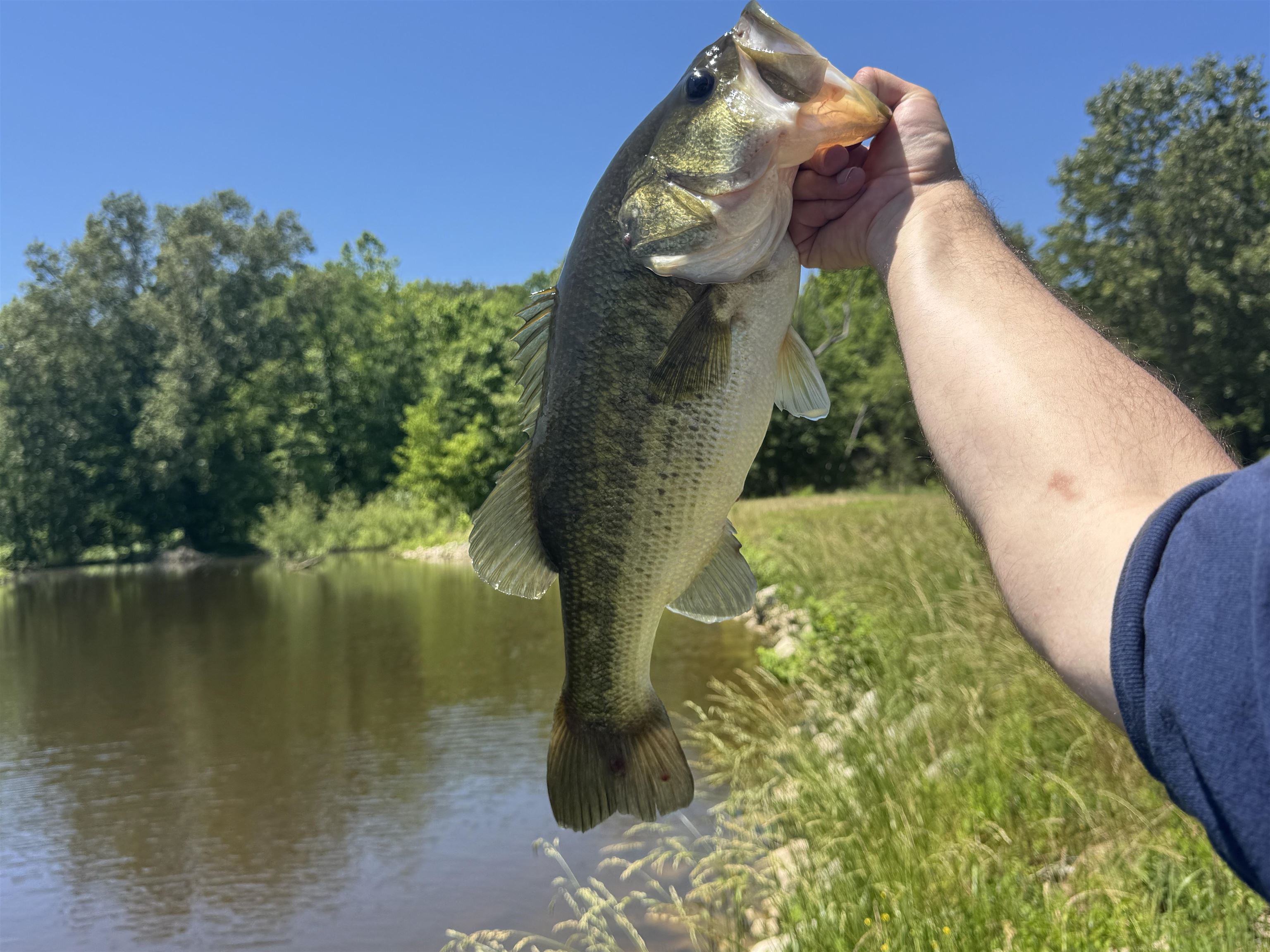 400 Teague Store Road Somerville, TN 38068 - Photo 40 of 40 a view of a yard