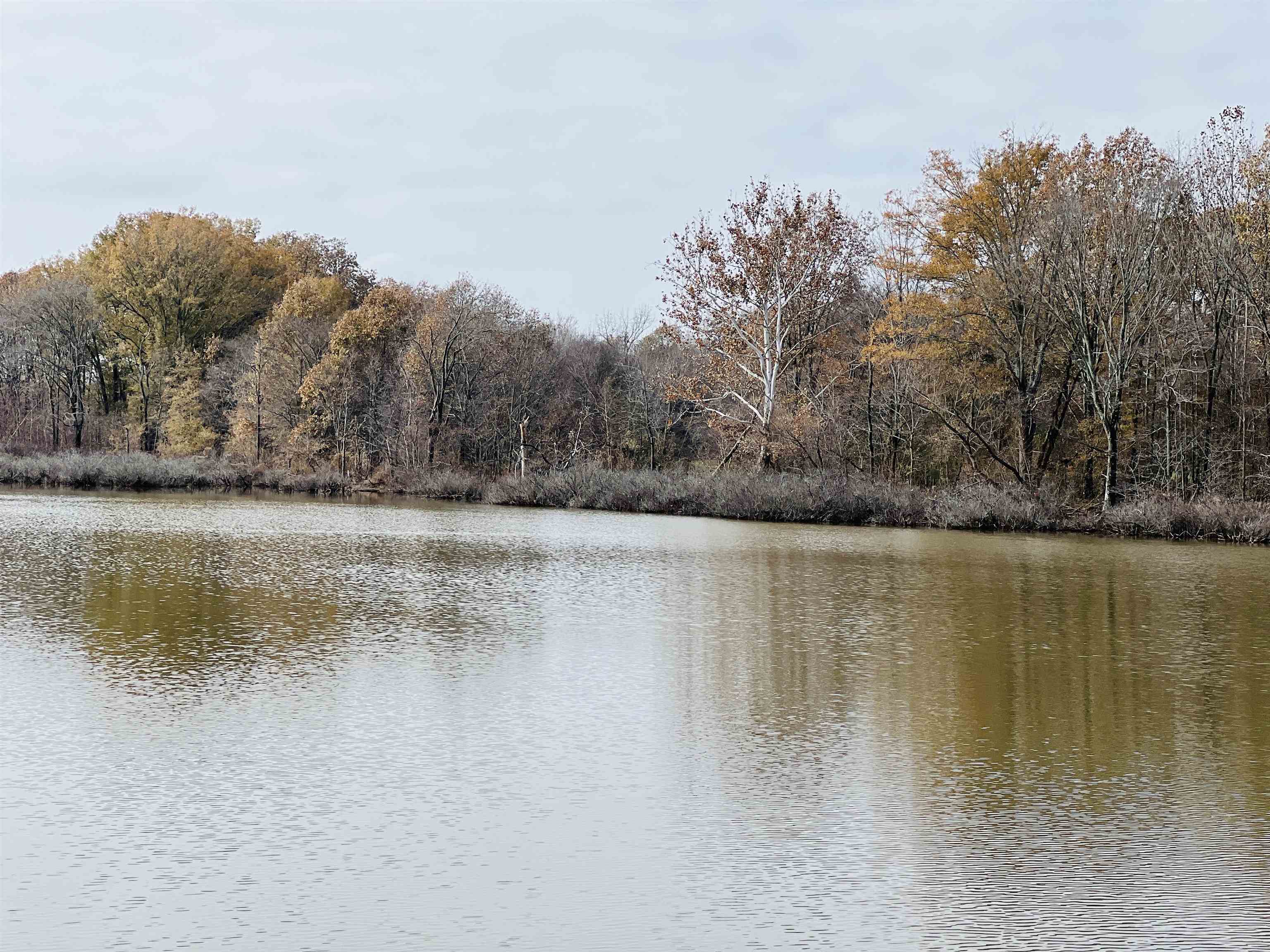 400 Teague Store Road Somerville, TN 38068 - Photo 8 of 40 a view of a lake with a mountain in the background