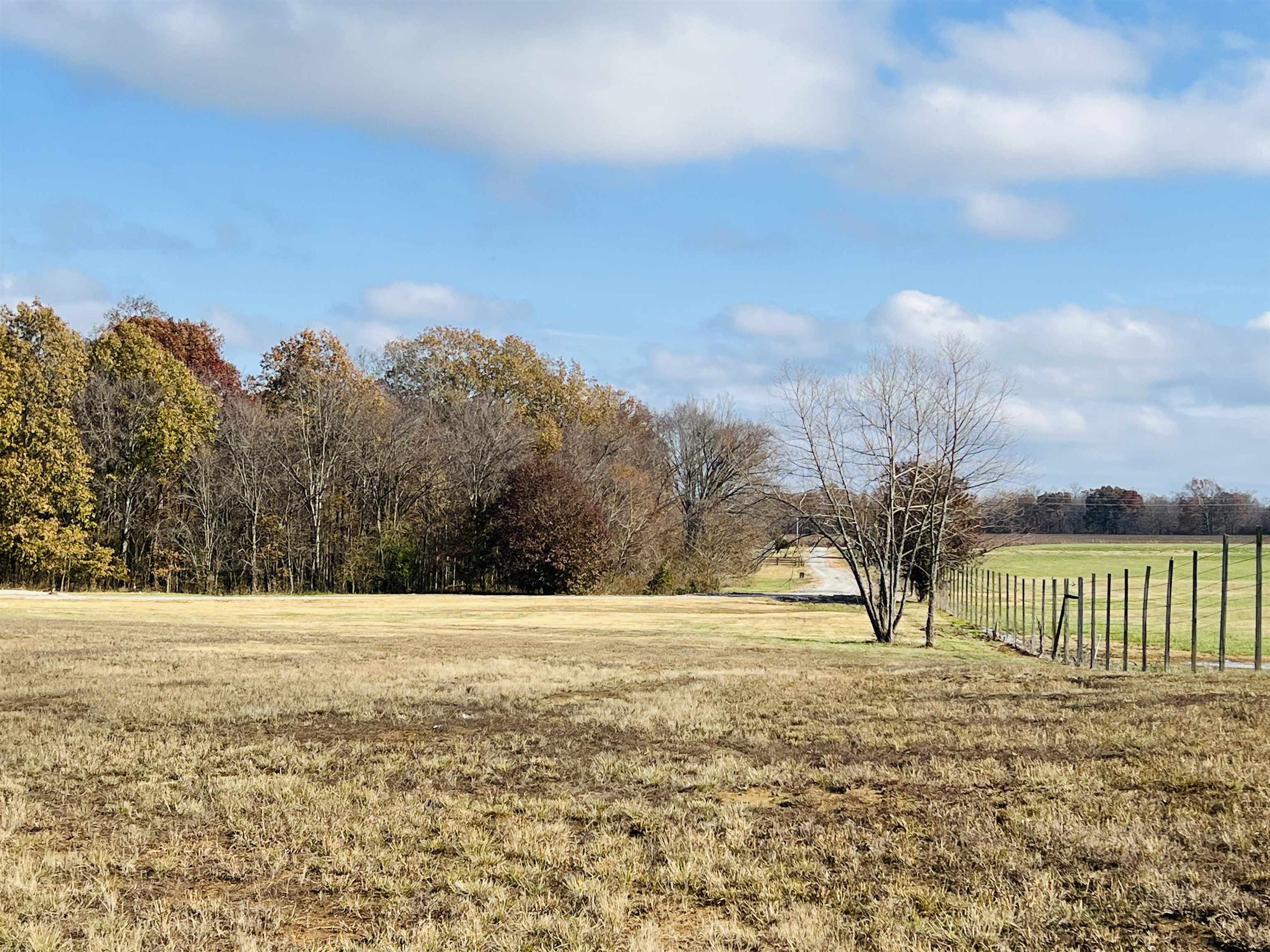 400 Teague Store Road Somerville, TN 38068 - Photo 9 of 40 a view of ocean view with beach
