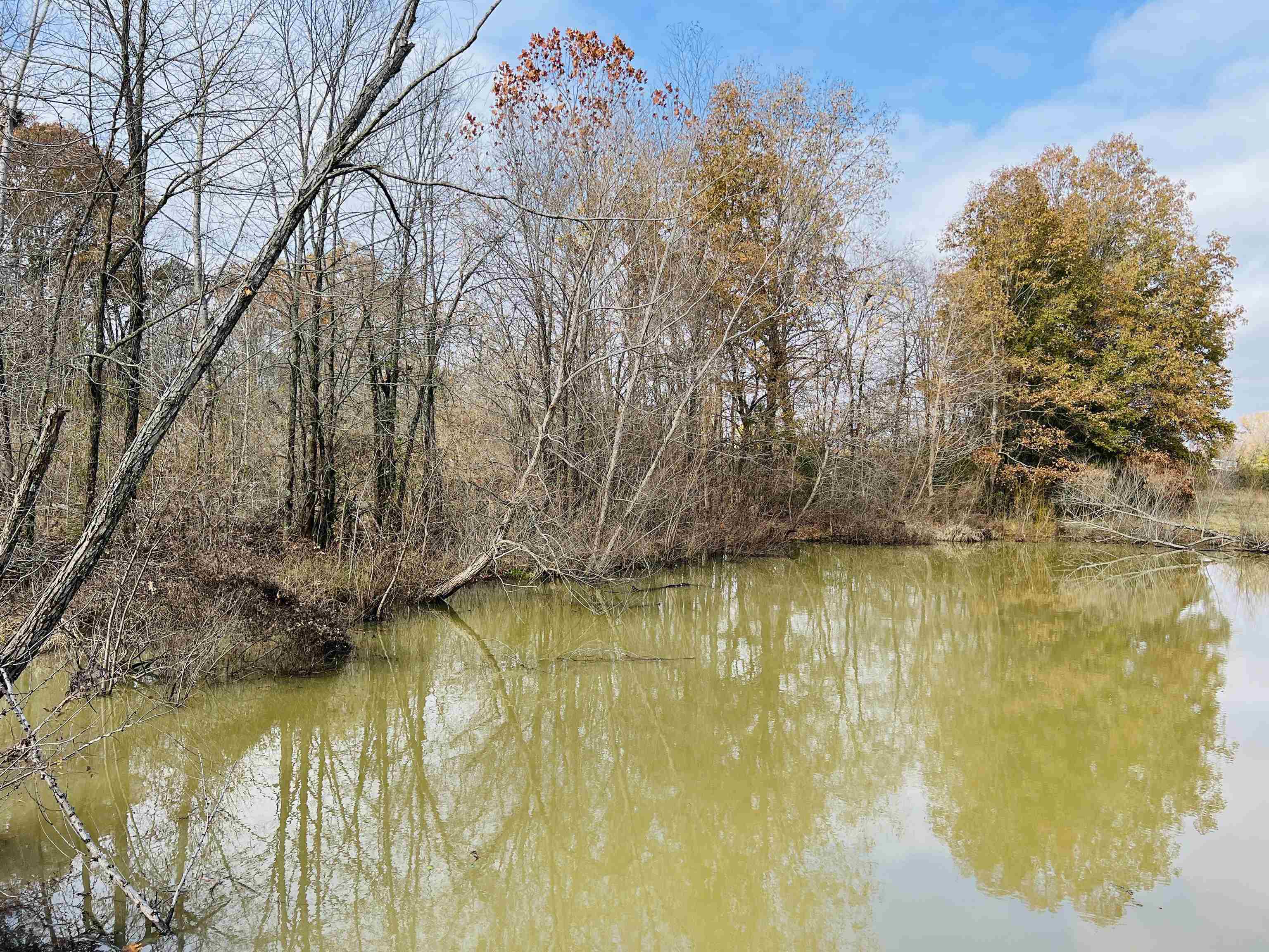 400 Teague Store Road Somerville, TN 38068 - Photo 10 of 40 a view of an ocean view
