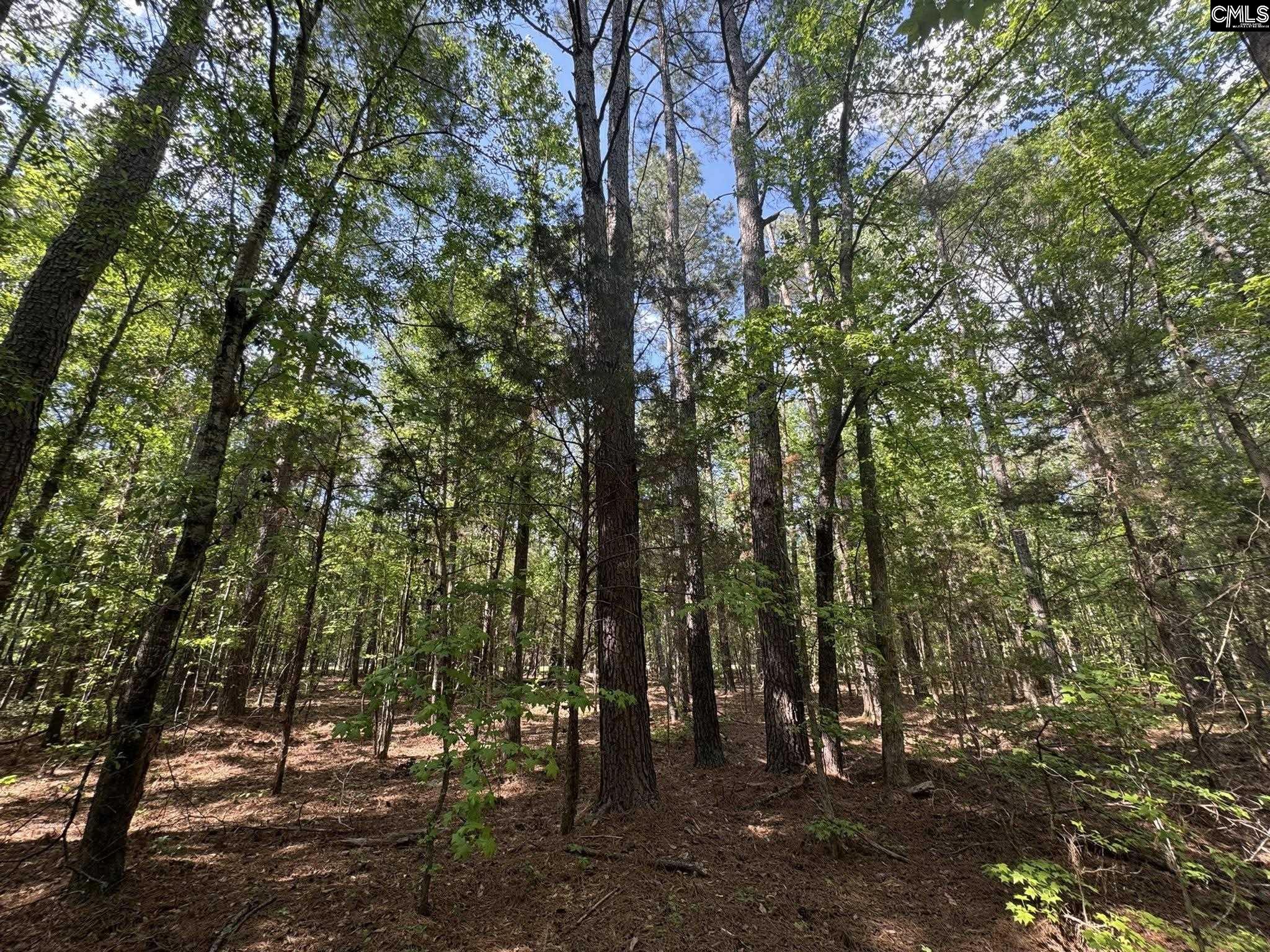 76 West W Highway Honea Path, SC 29654 - Photo 27 of 35