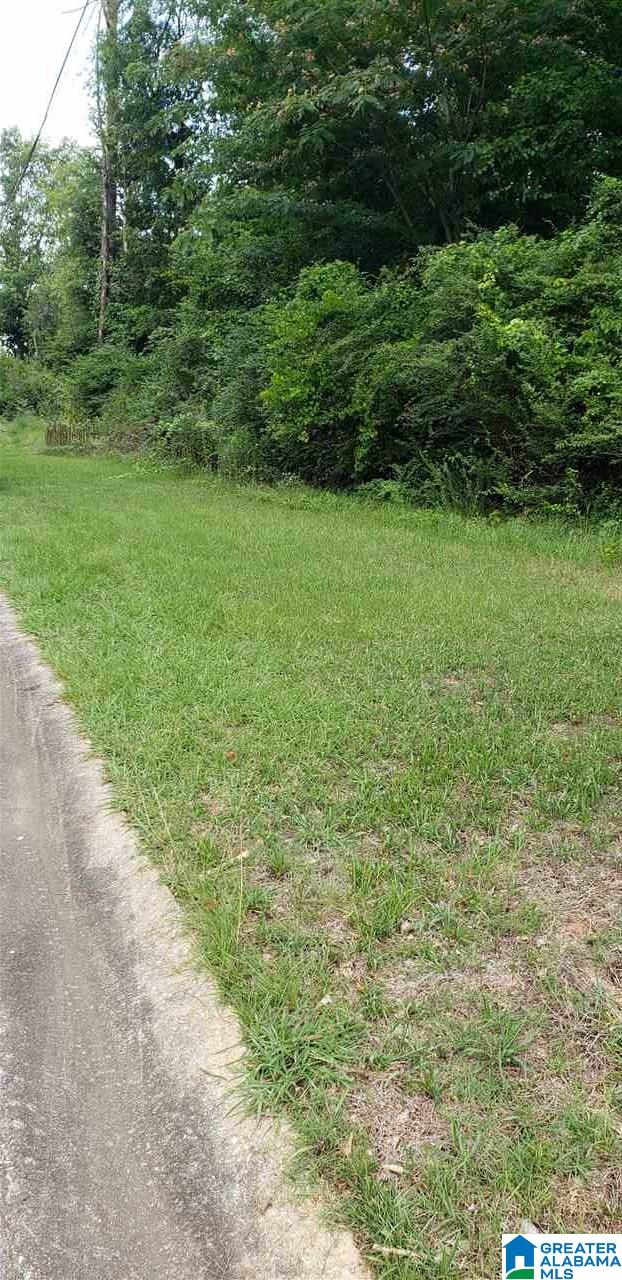 0 Eddings Lane Montevallo, AL 35115 - Photo 2 of 2