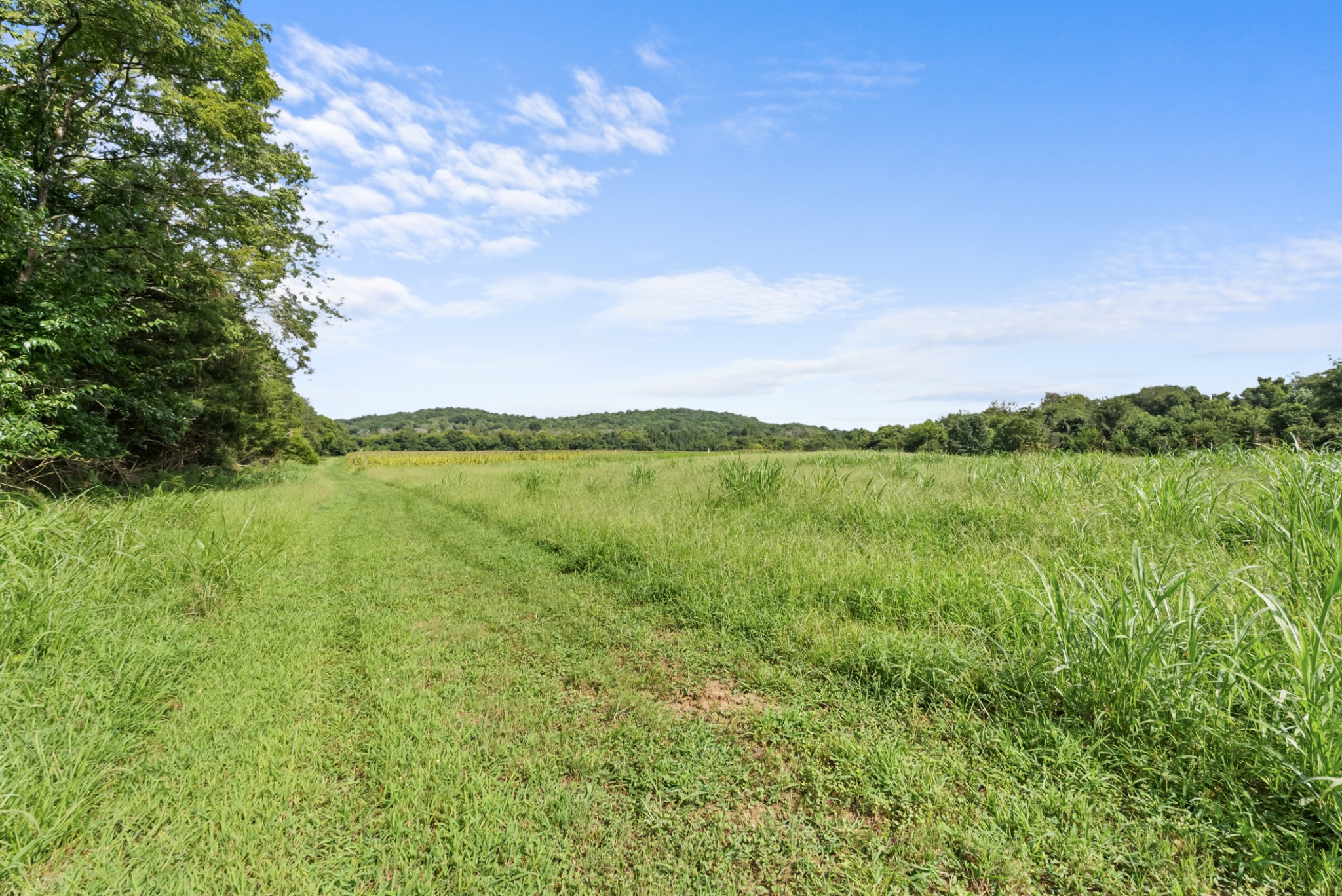 2942 Newman Road Ardmore, TN 38449 - Photo 48 of 63 Gallery Image 48