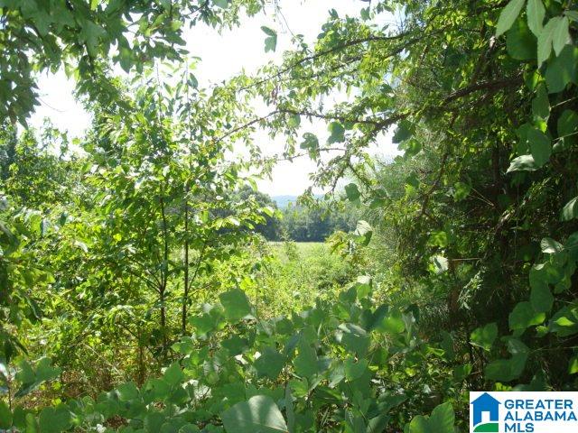 0 Dabbs Road, Unit 19 & 20 Oxford, AL 36203 - Photo 7 of 33