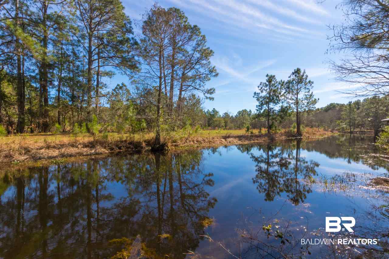 21801 County Road 28 Foley, AL 36535 - Photo 18 of 41