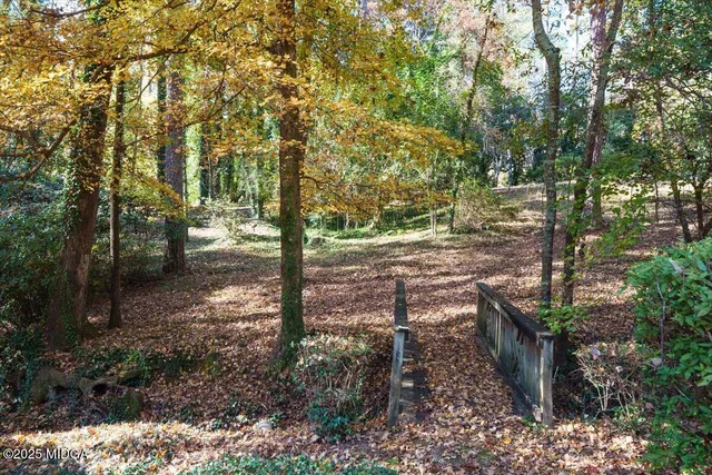 a view of a yard with plants and trees