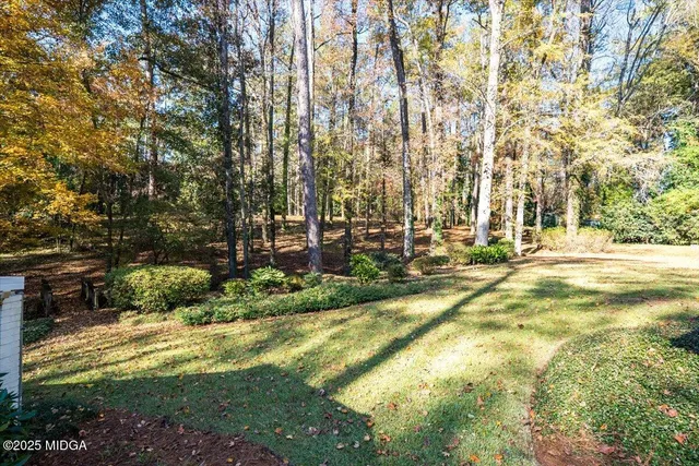 a view of yard with tree