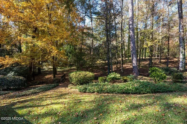 a view of swimming pool with a garden