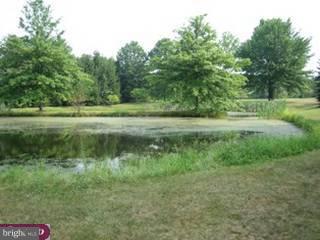 1320 Zipp Road Pennsburg, PA 18073 - Photo 3 of 5