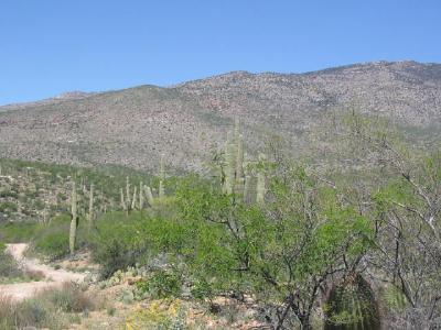 6481 South Upper Valley Road Vail, AZ 85641 - Photo 7 of 9