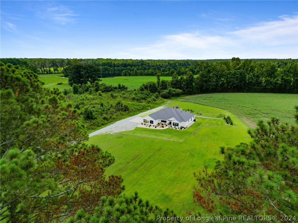 6901 Autryville Road Autryville, NC 28318 - Photo 3 of 44 Gallery Image 3