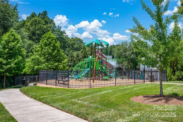 a view of a park with a tree