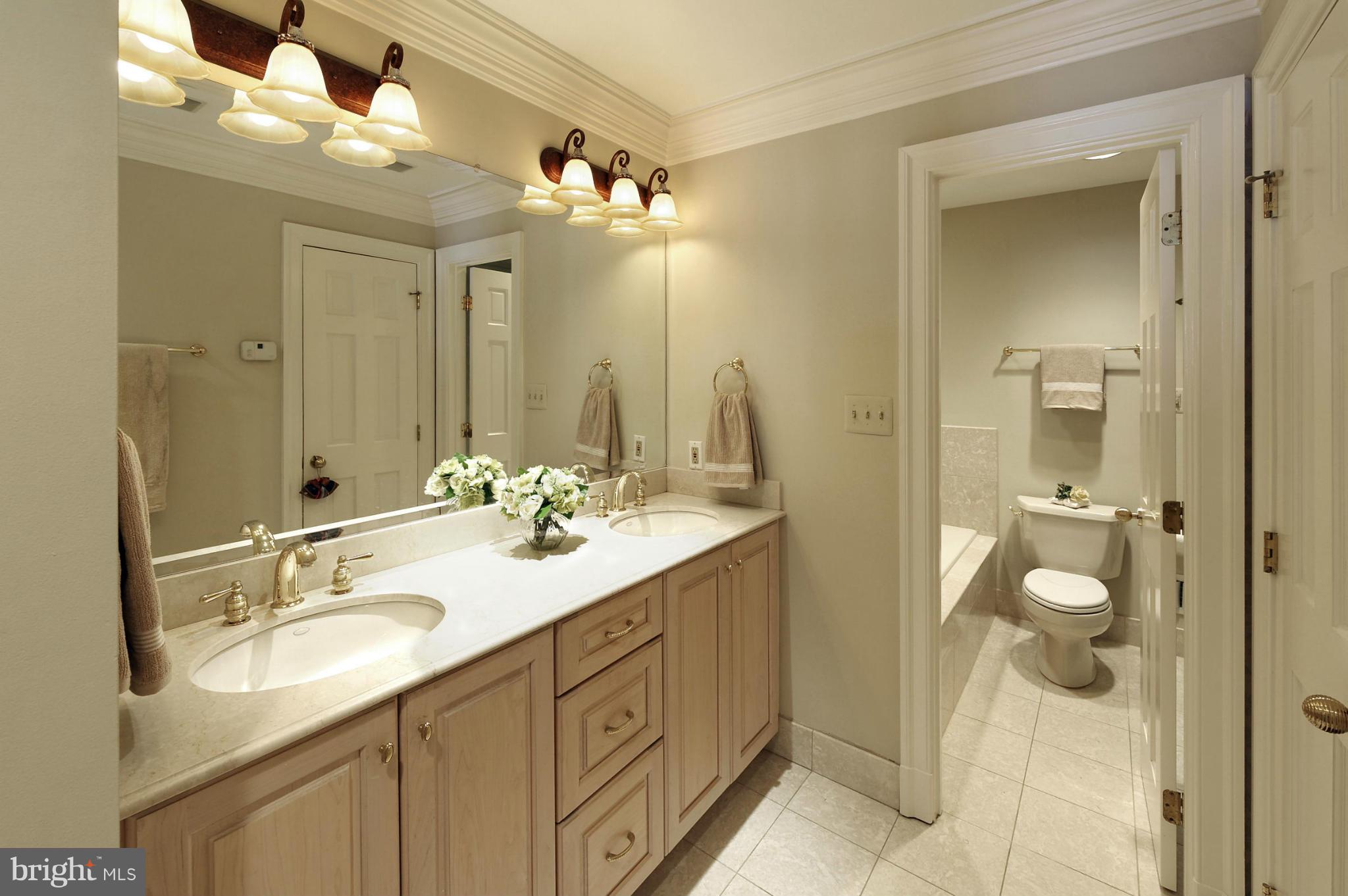 22 Wolfe Street Alexandria, VA 22314 - Photo 15 of 30 Bath (Master)