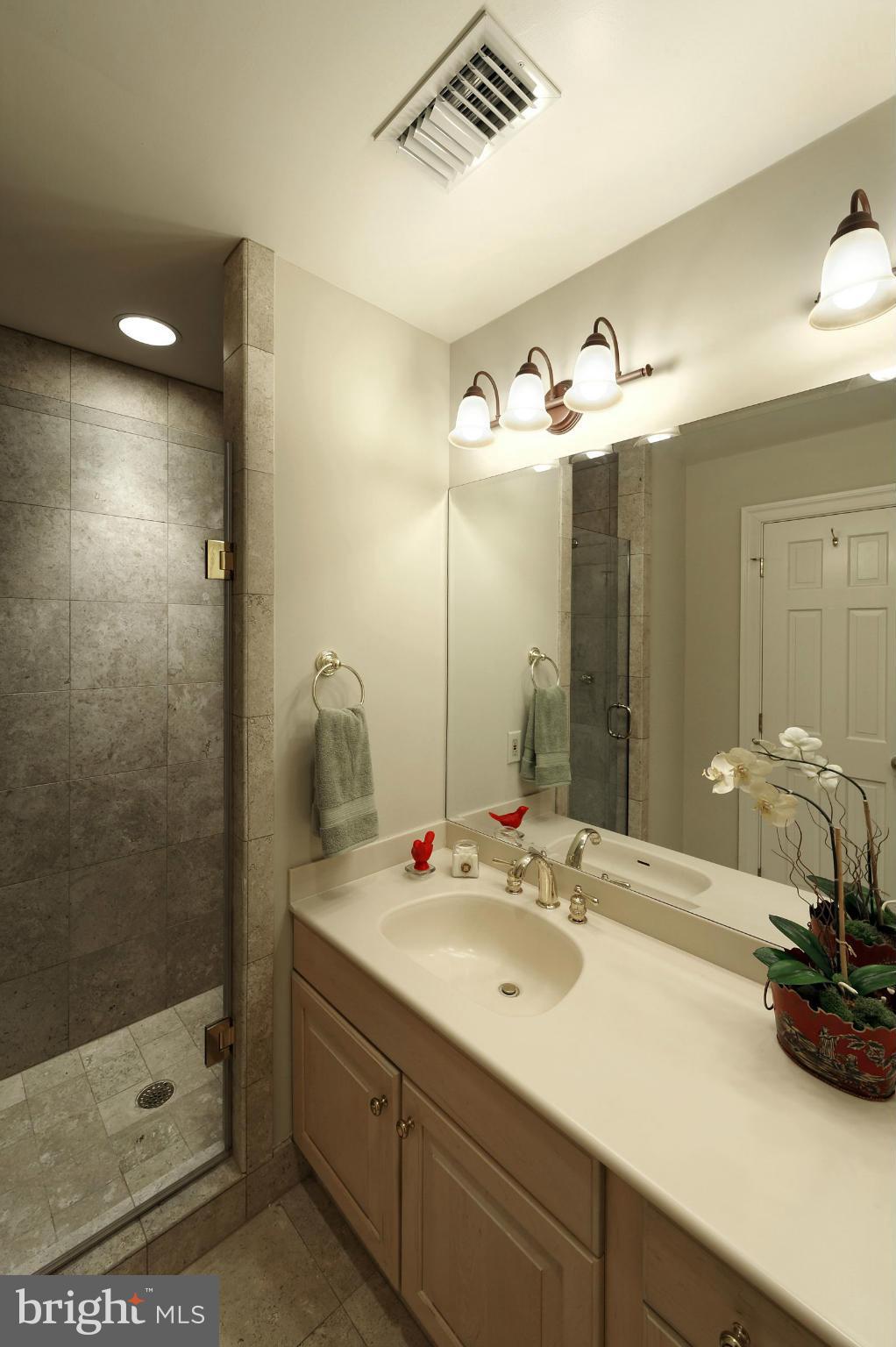 22 Wolfe Street Alexandria, VA 22314 - Photo 18 of 30 Bath