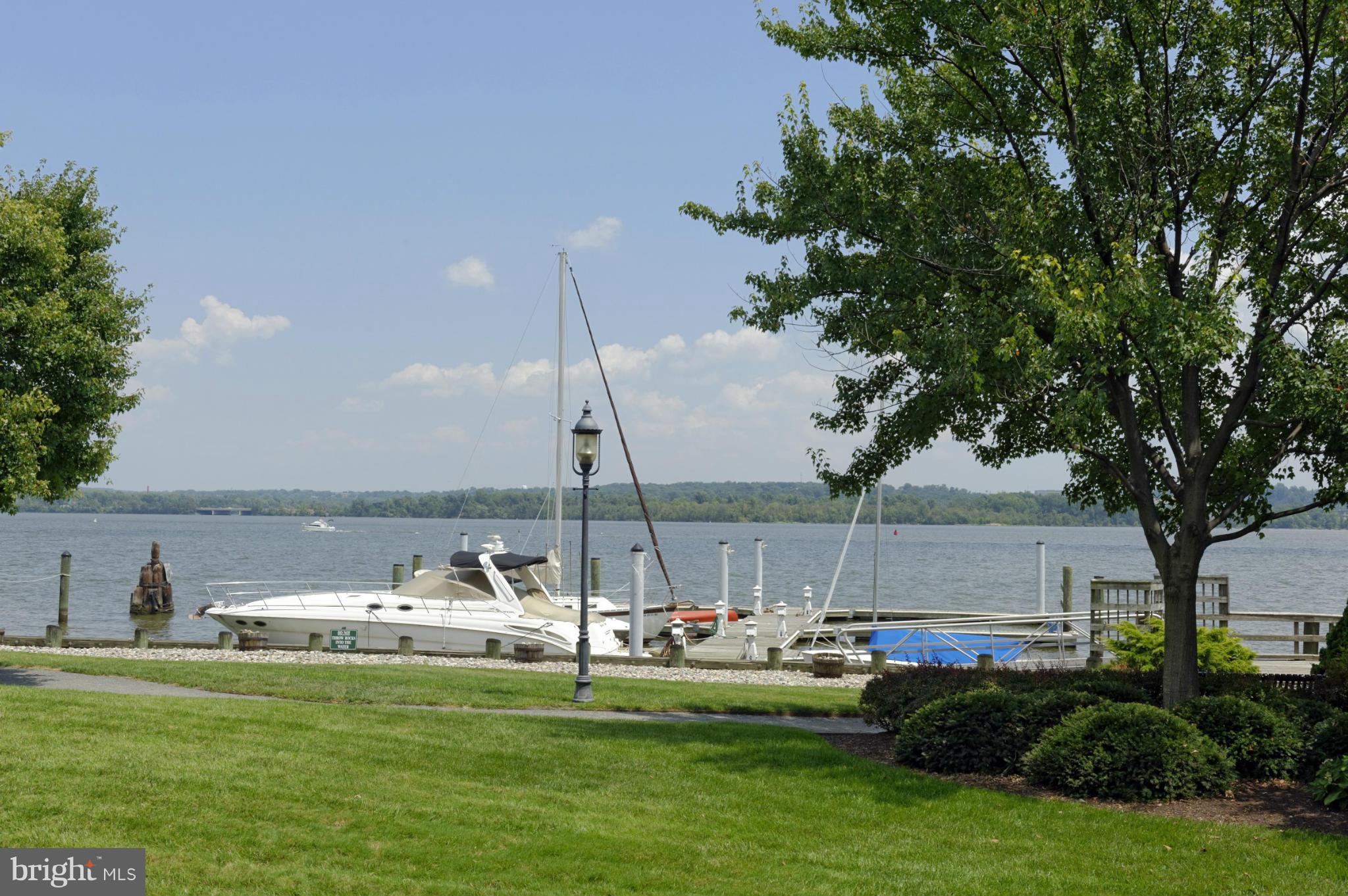 22 Wolfe Street Alexandria, VA 22314 - Photo 29 of 30 Exterior (Rear)
