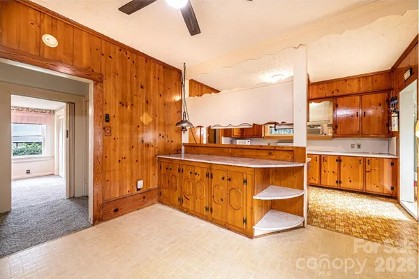 a view of a potted plant on a window