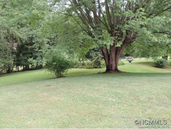 141 Chambers Cove Road Canton, NC 28716 - Photo 24 of 24