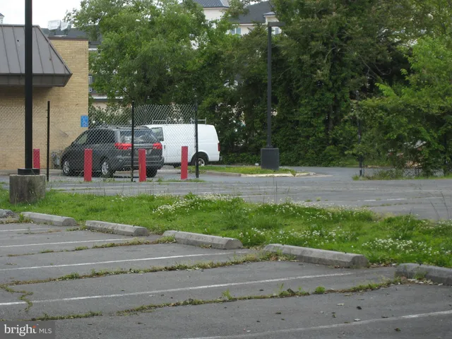 a view of road and trees