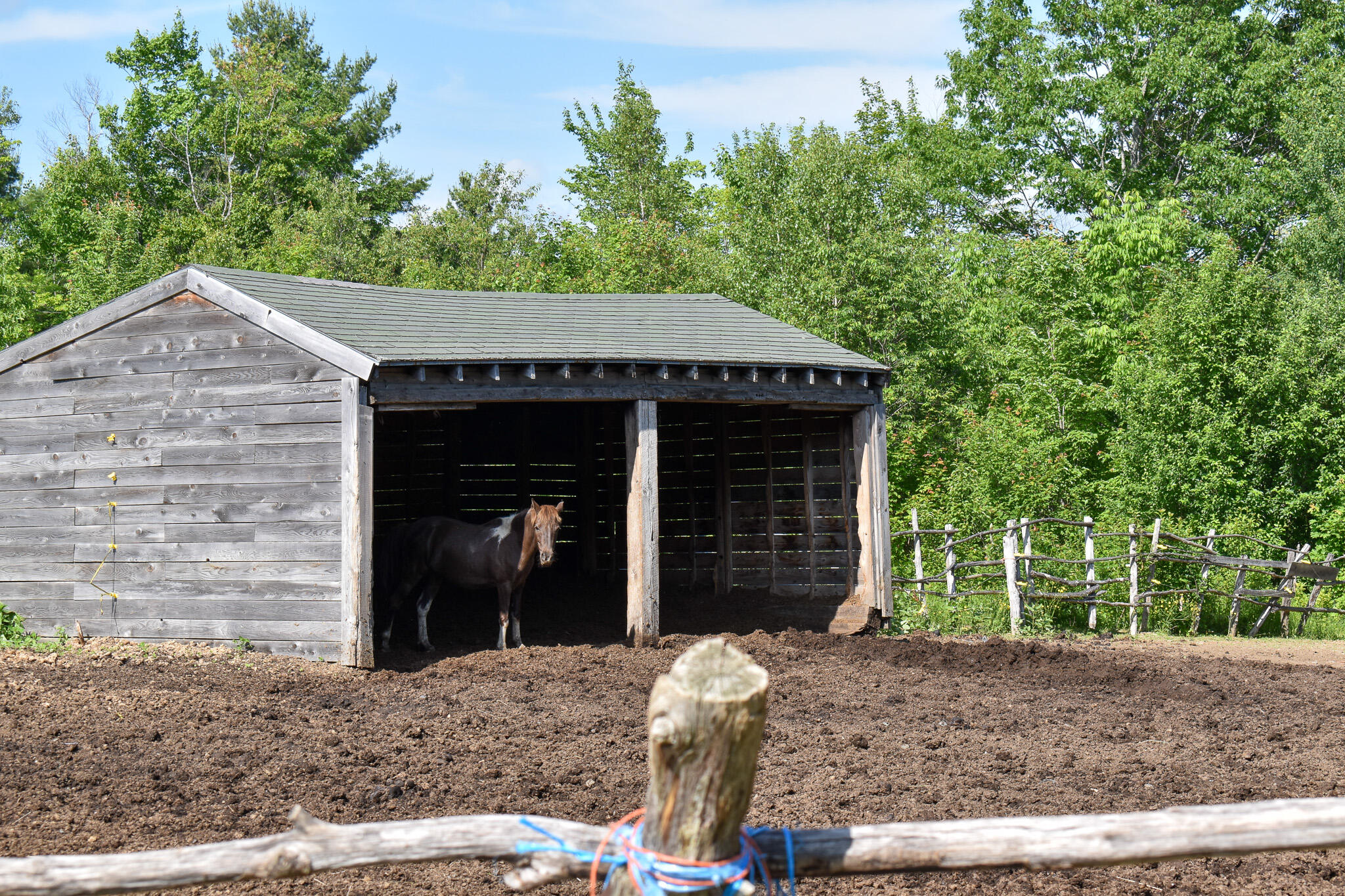 259 Milo Road Sebec, ME 04481 - Photo 49 of 59 DSC_0600
