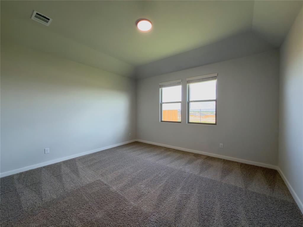 120 Millwood Road Lavon, TX 75166 - Photo 30 of 34 Bedroom featuring plush patterned carpet, neutral wall tones, two windows with blinds, a ceiling-mounted light fixture, and crown molding