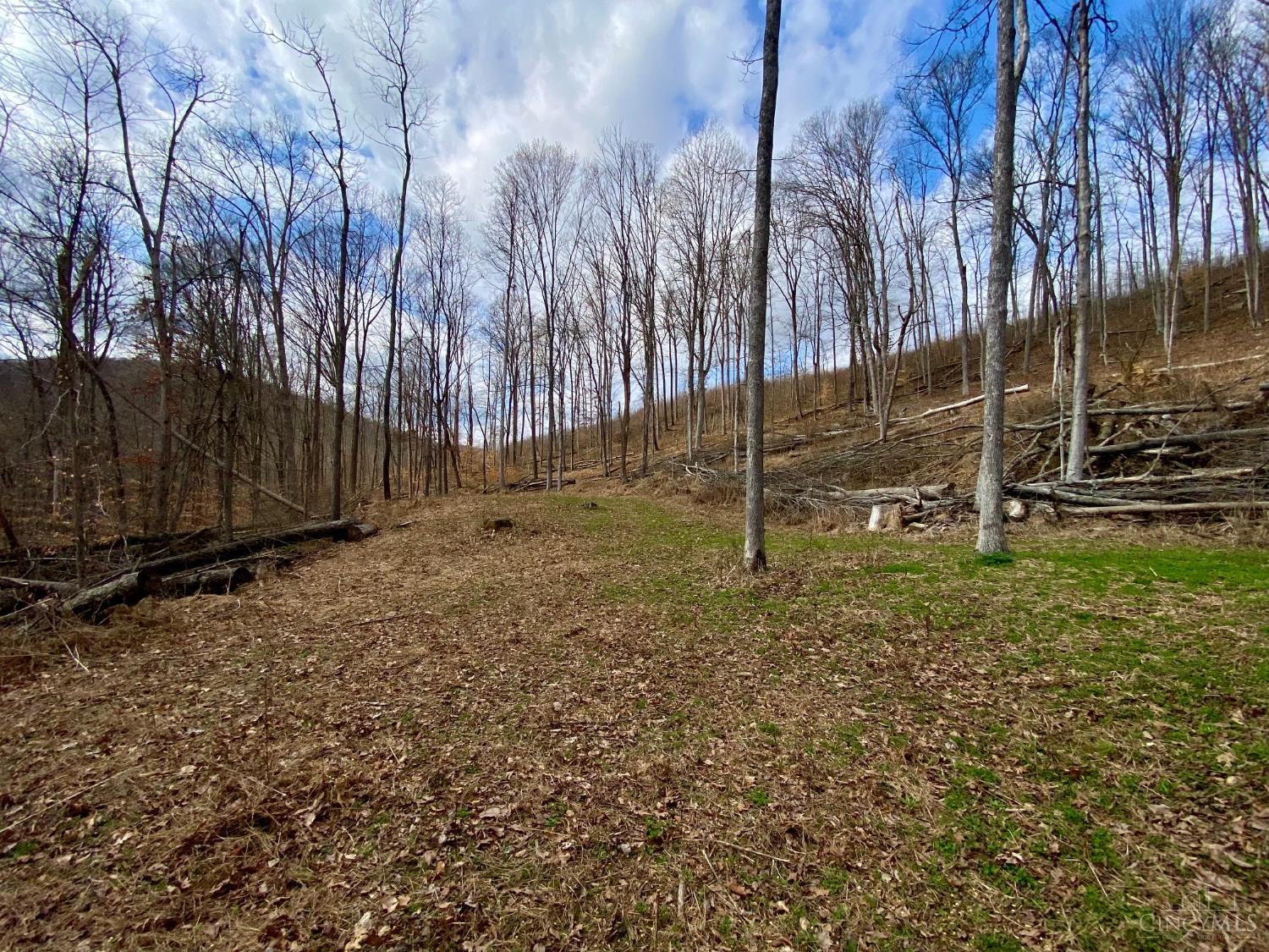 Ac Beech Fork Road Peebles, OH 45660 - Photo 16 of 49