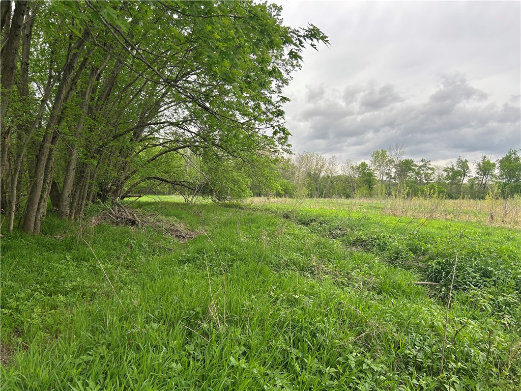 County Line Road Herrick, IL 62431 - Photo 4 of 20