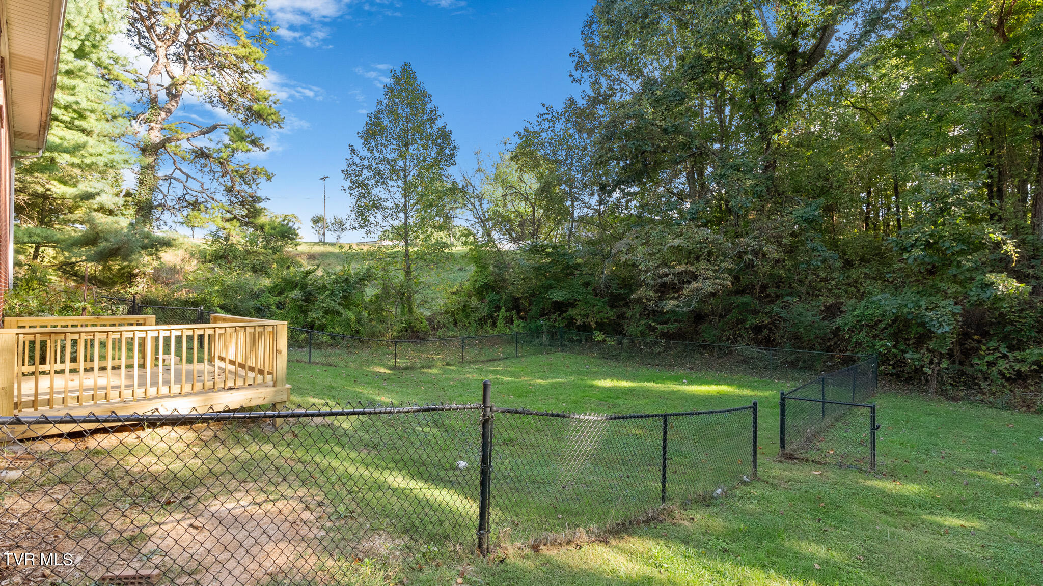 6005 Shady Grove Road Morristown, TN 37814 - Photo 5 of 22 Shady Grove-4