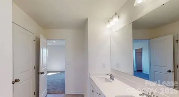 a bathroom with a tub sink vanity and a mirror