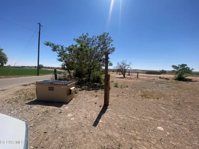 a view of a dry yard with a tree