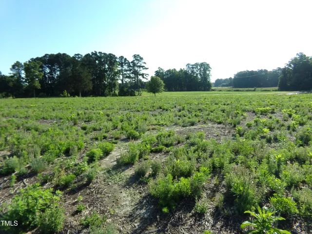 a view of a grassy field with trees